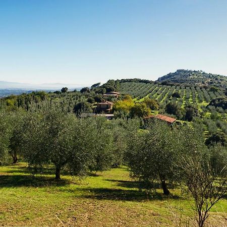 The Country House Montali Tavernelle  Екстер'єр фото