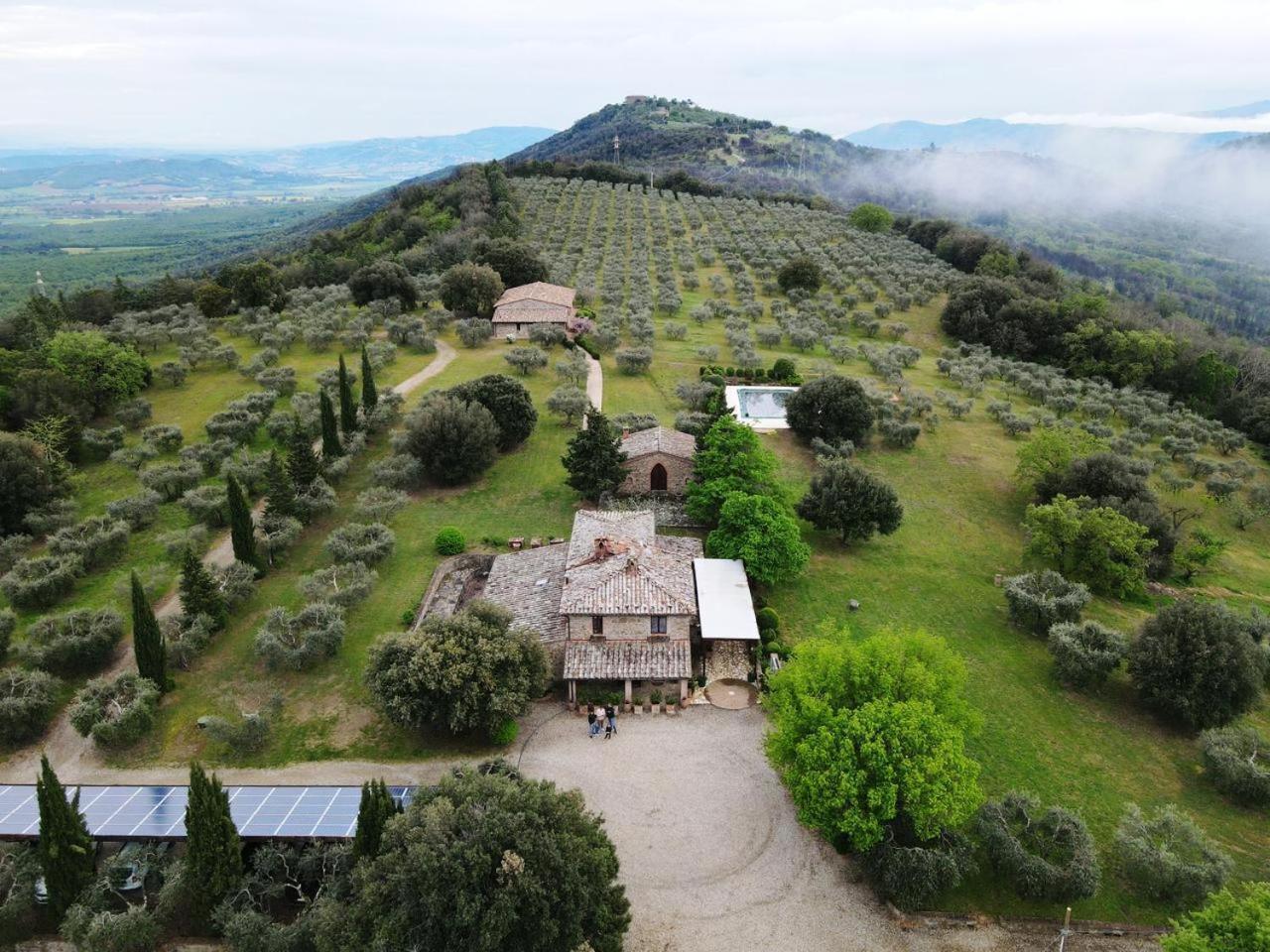 The Country House Montali Tavernelle  Екстер'єр фото