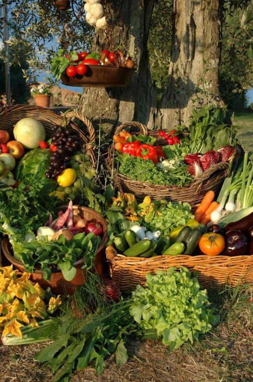 The Country House Montali Tavernelle  Екстер'єр фото